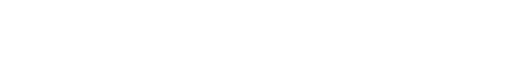 silver-guitars-logo